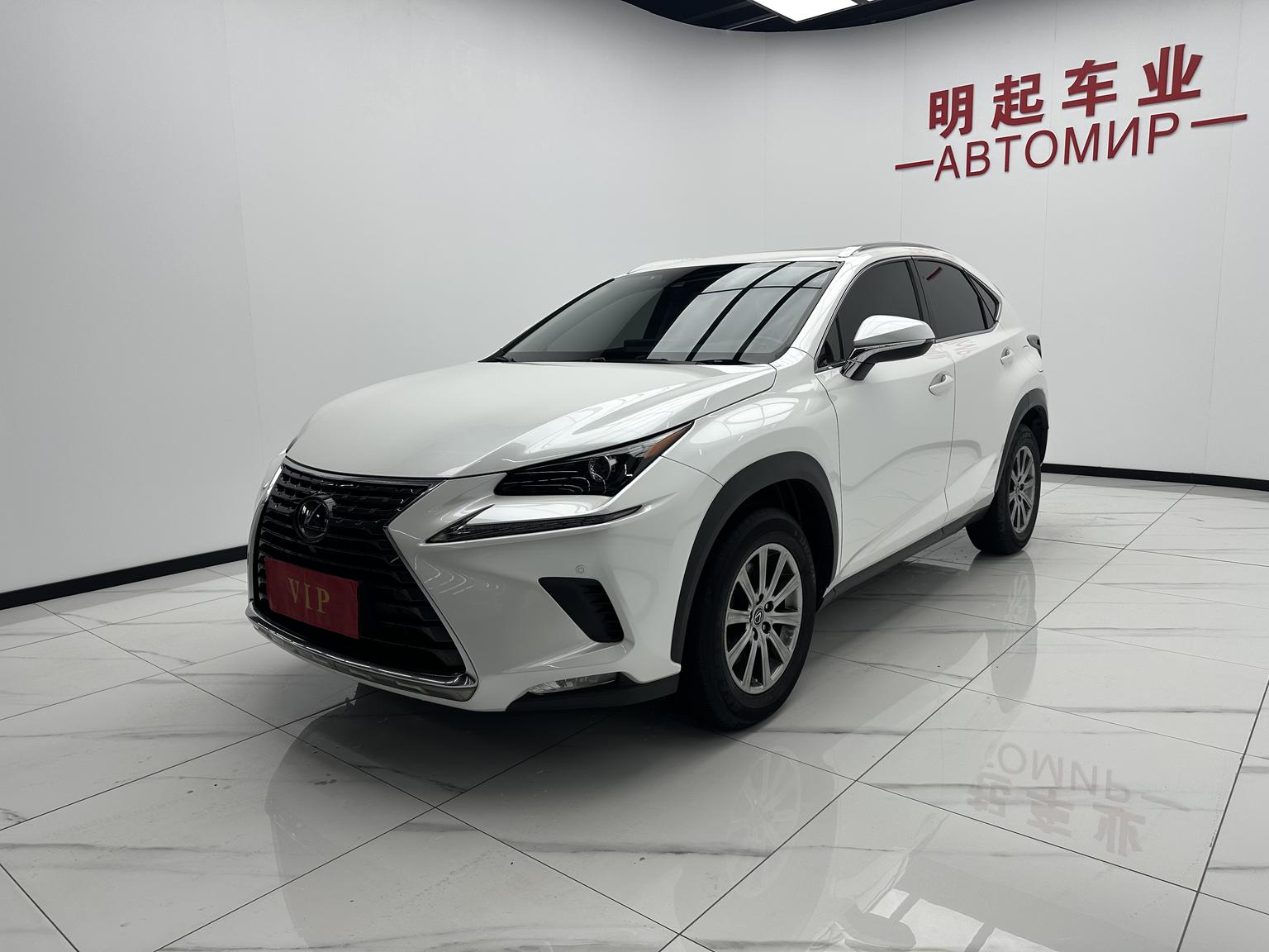 Lexus NX 2020 200 China VI