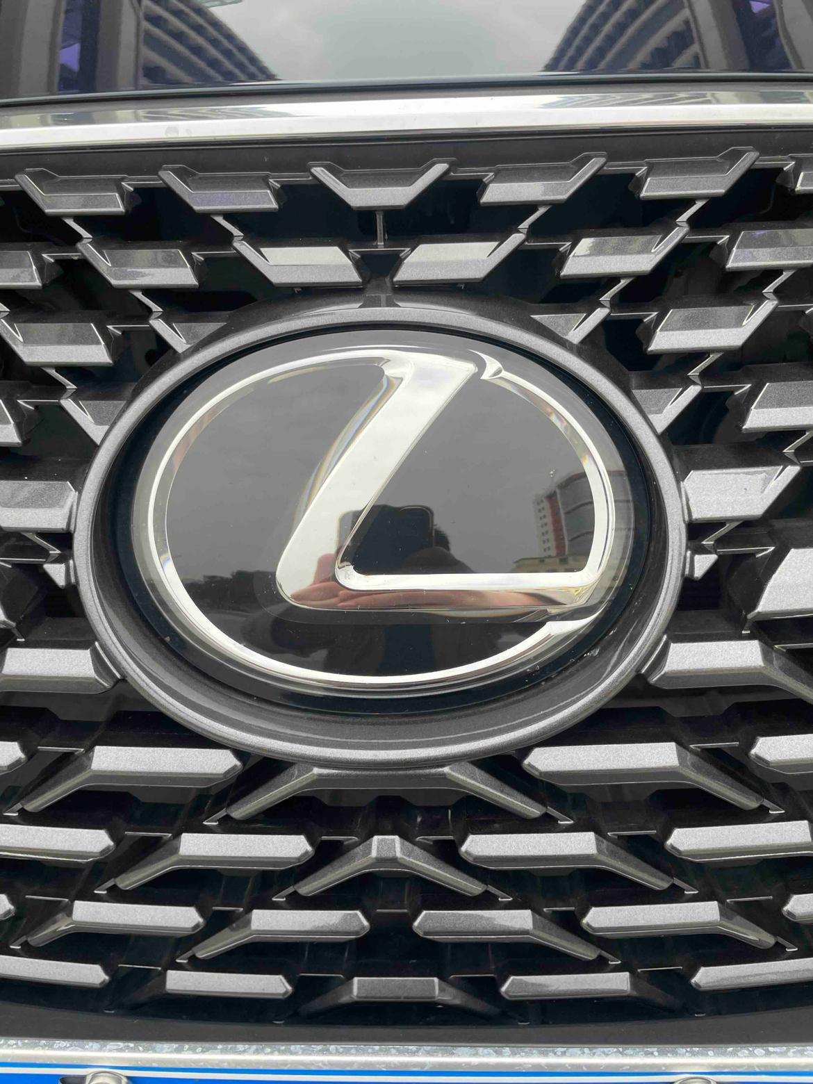 Lexus RX 2020 Facelift 300 4WD Elegant