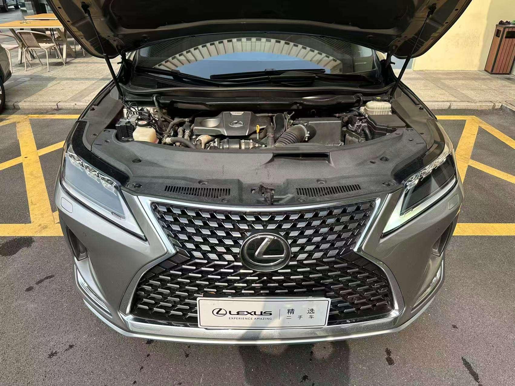 Lexus RX 2020 300 4WD Elegant China VI