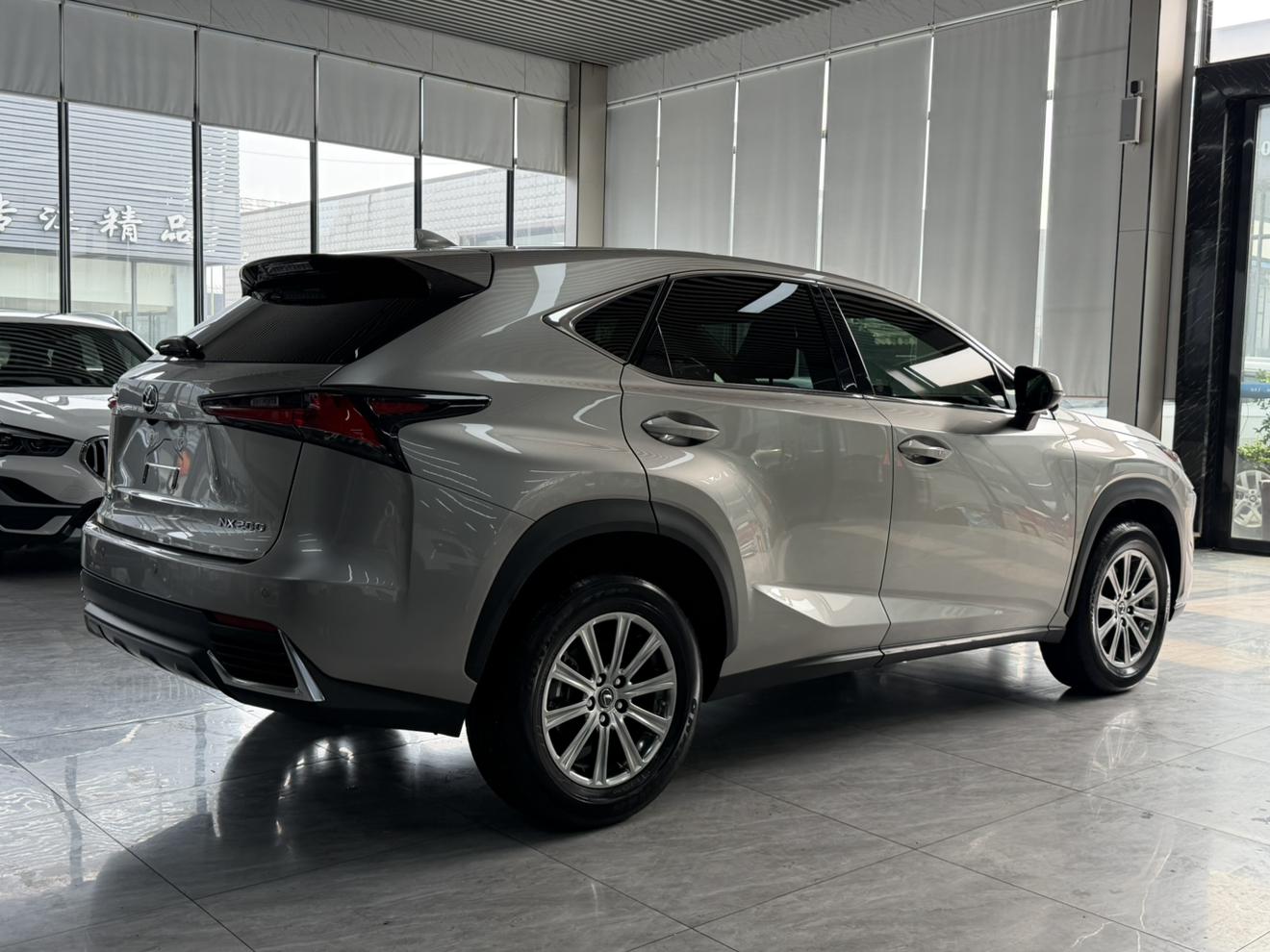 Lexus NX 2020 200 FWD China VI