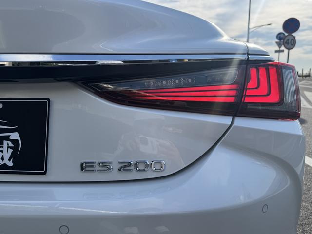 Lexus ES 2020 200 Excellence China VI