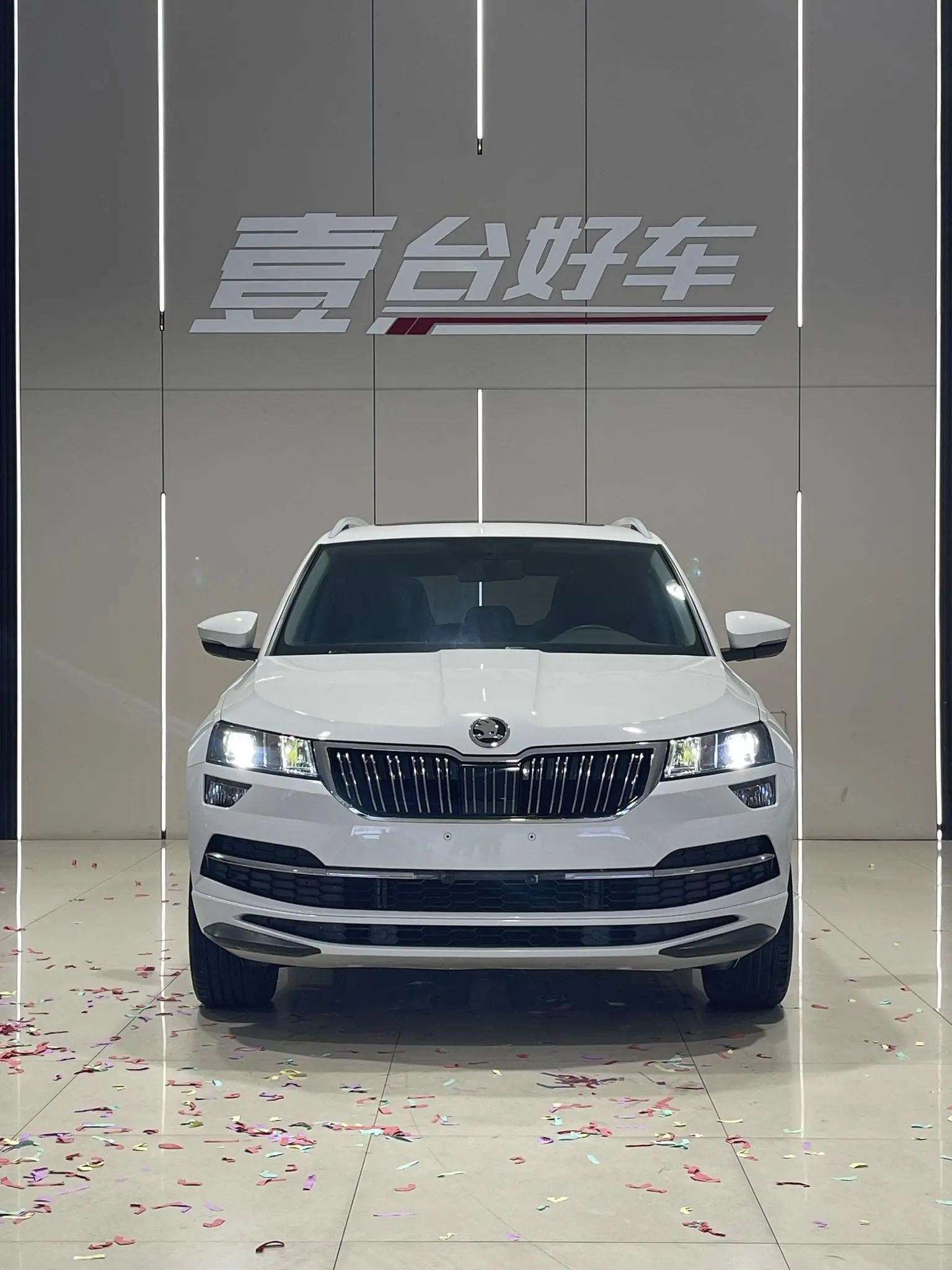 Skoda 2022 TSI280