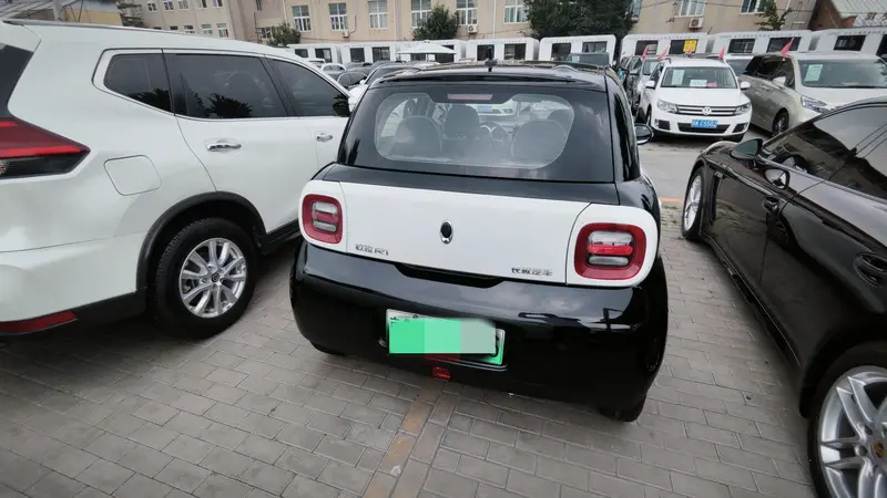 Euler Black Cat 2019 351km Smart Edition