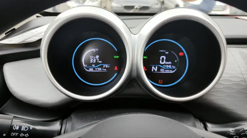 Euler Black Cat 2019 351km Smart Edition