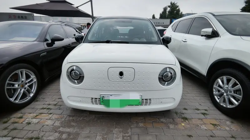 Euler Black Cat 2019 351km Smart Edition