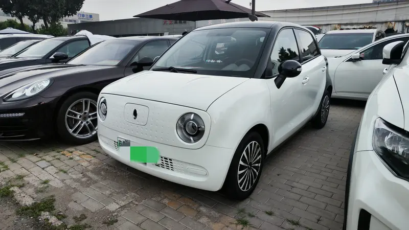 Euler Black Cat 2019 351km Smart Edition