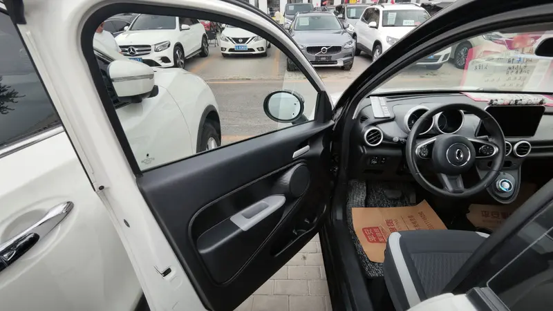 Euler Black Cat 2019 351km Smart Edition