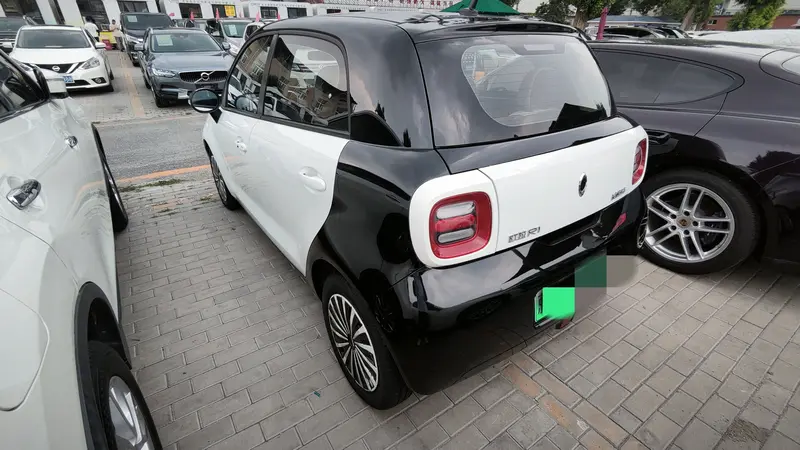 Euler Black Cat 2019 351km Smart Edition