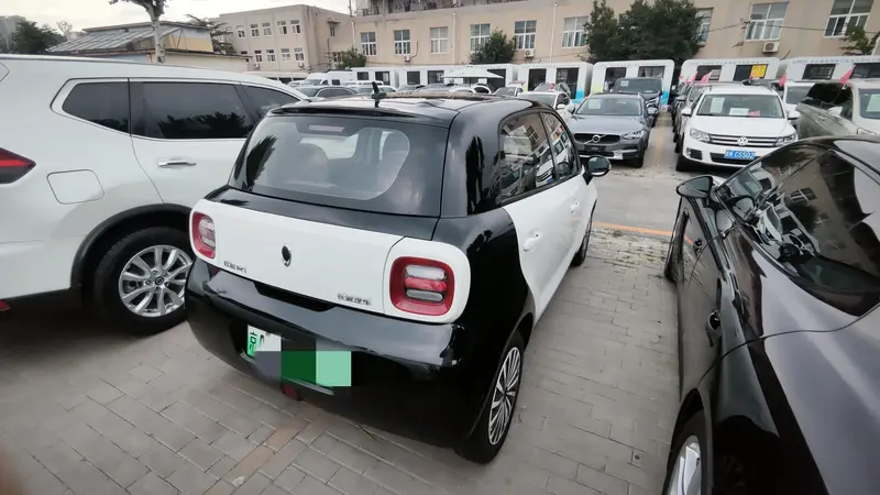 Euler Black Cat 2019 351km Smart Edition