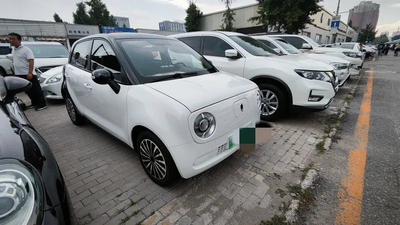 Euler Black Cat 2019 351km Smart Edition