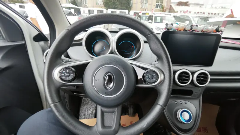Euler Black Cat 2019 351km Smart Edition