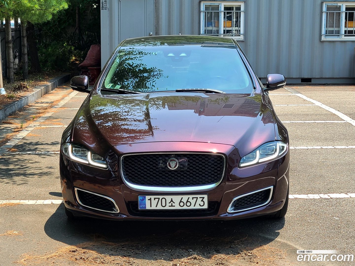 Jaguar XJ 3.0D XJ50 LWB