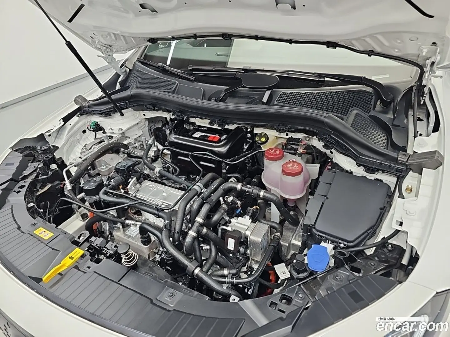 Mercedes-Benz EQA EQA250 AMG Line 2024