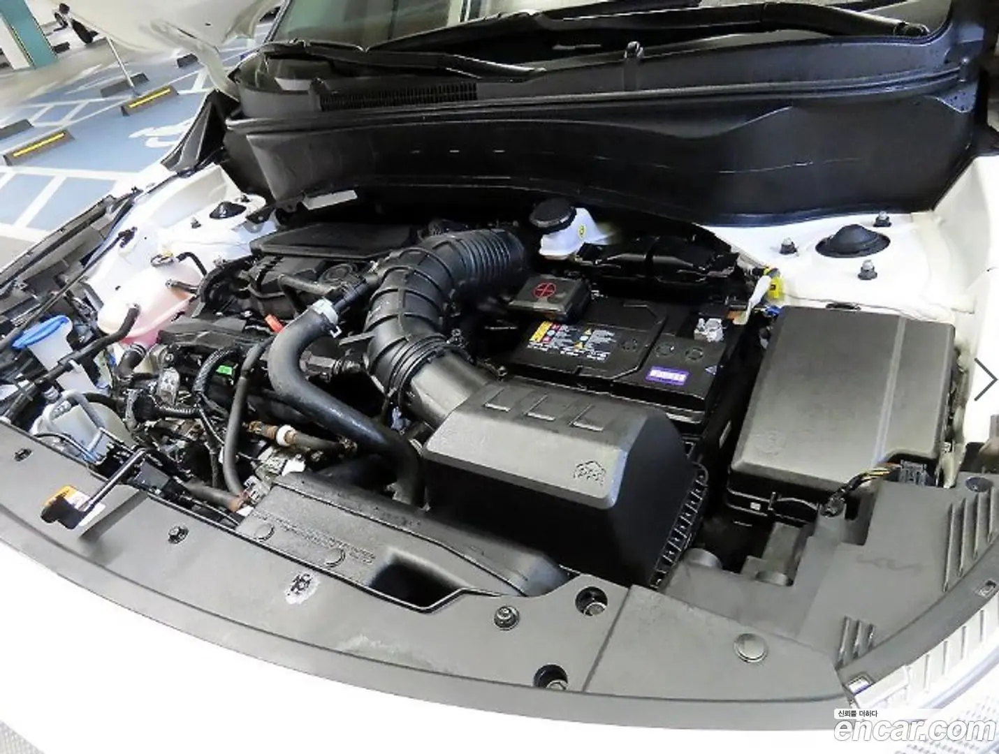 Kia Seltos Gasoline 1.6 Turbo 2WD 2024