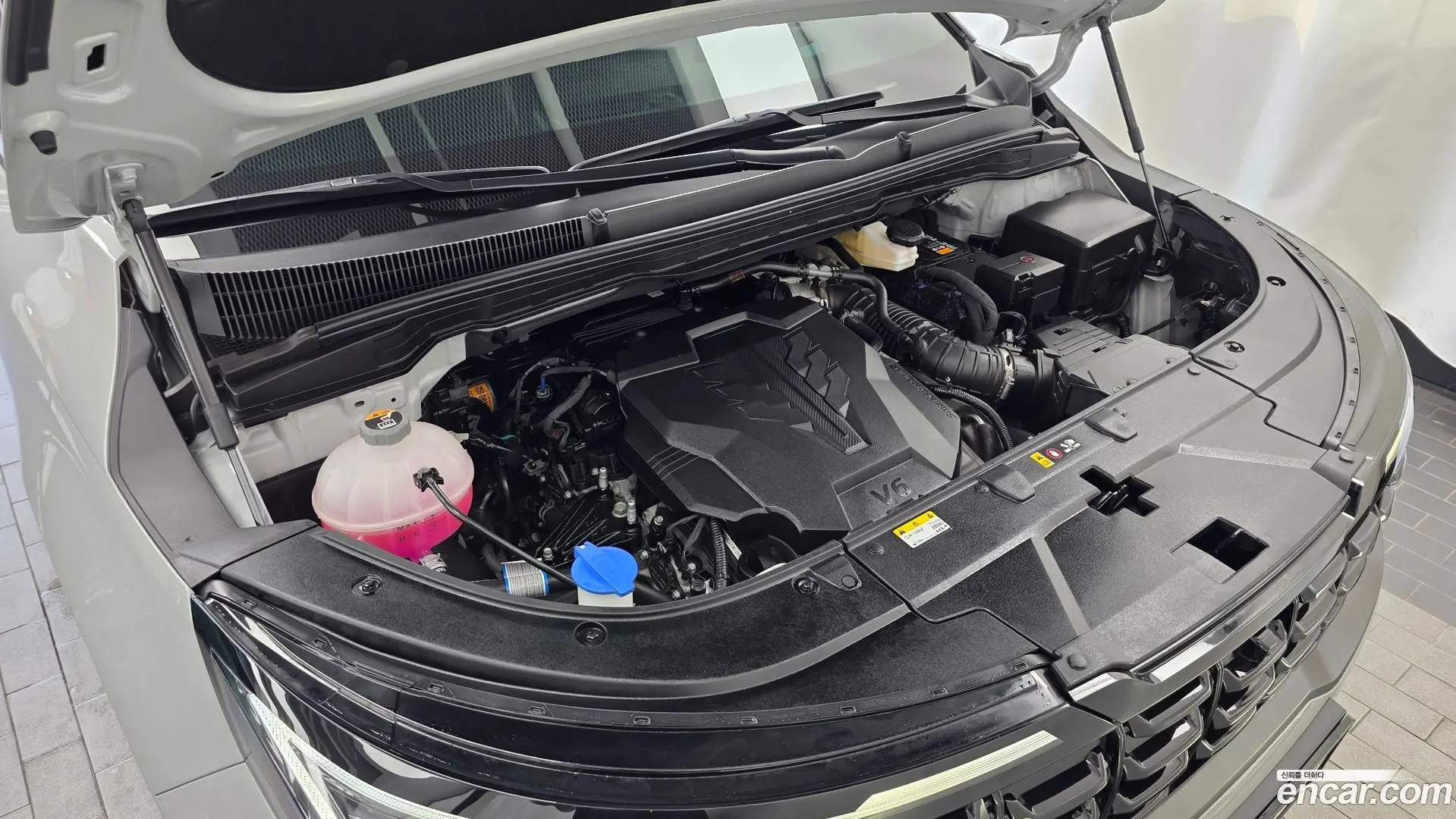 Kia Canival Gasoline 7-Seater Gravity