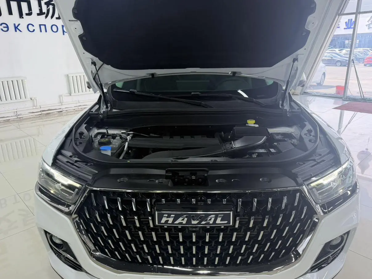 Haval H6 2023 Guochao 1.5T Auto Champion