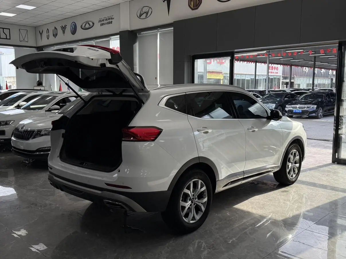 Haval H6 2021 Guochao 1.5T Auto Champion