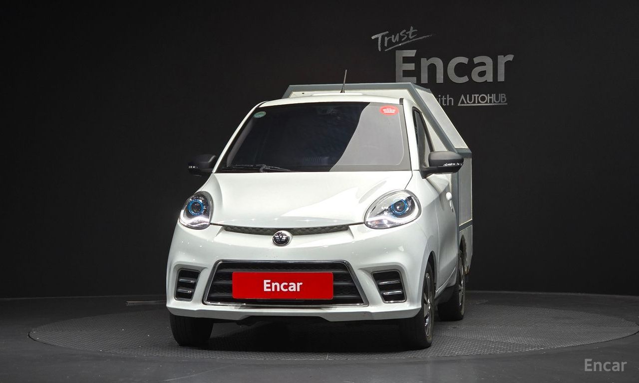 Other Manufacturers Other Other Electric Vehicles 2019