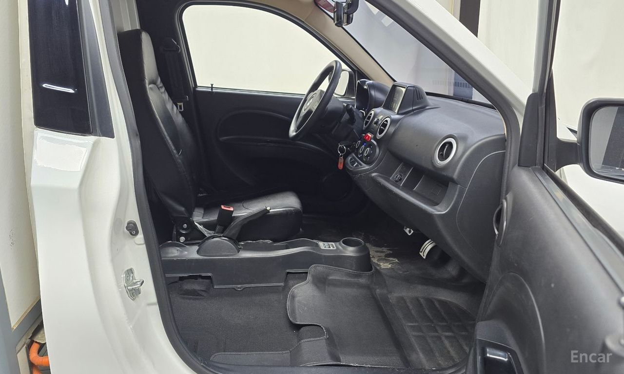 Other Manufacturers Other Other Electric Vehicles 2019