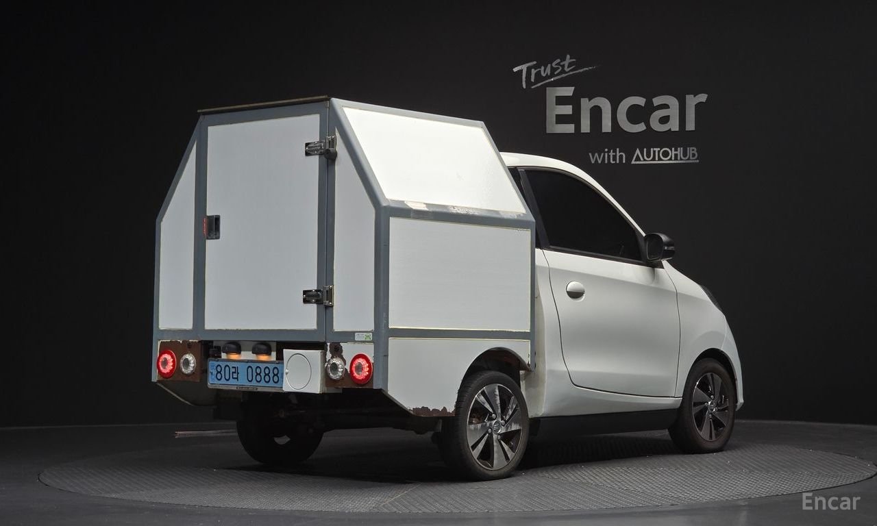 Other Manufacturers Other Other Electric Vehicles 2019