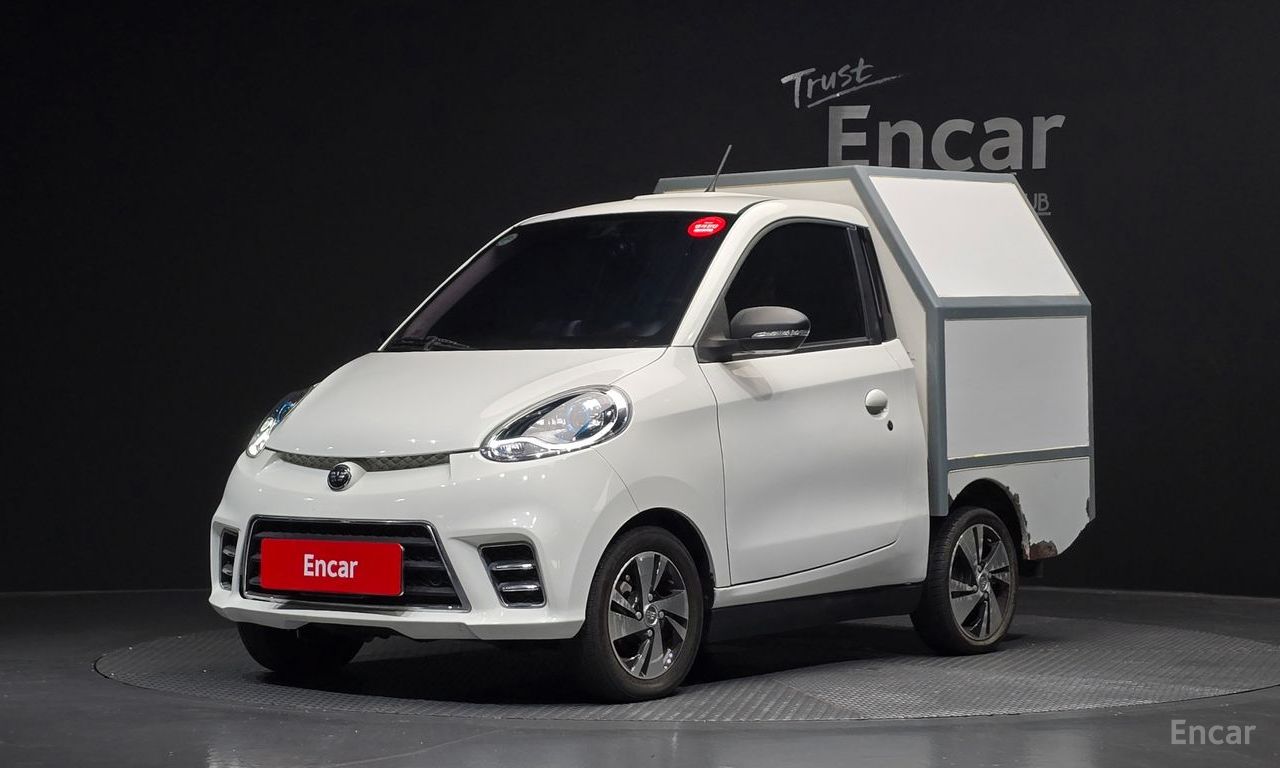 Other Manufacturers Other Other Electric Vehicles 2019