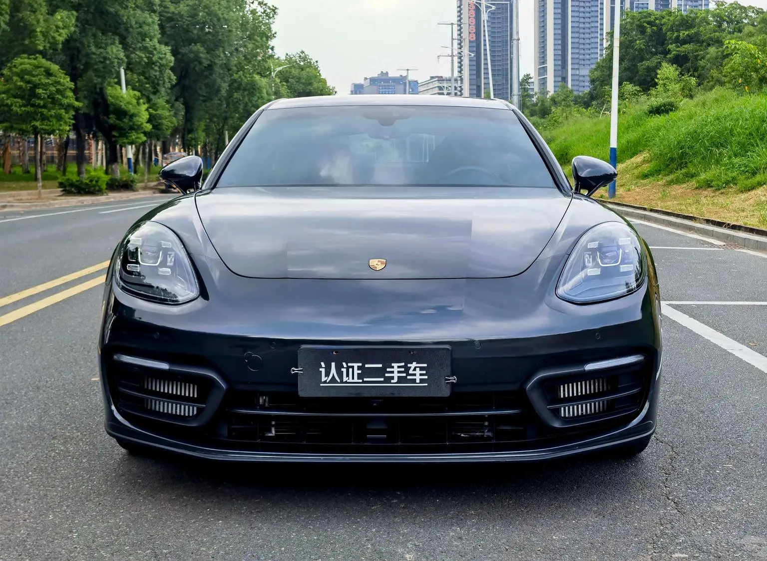 Porsche Panamera 2022 Panamera 4 2.9T