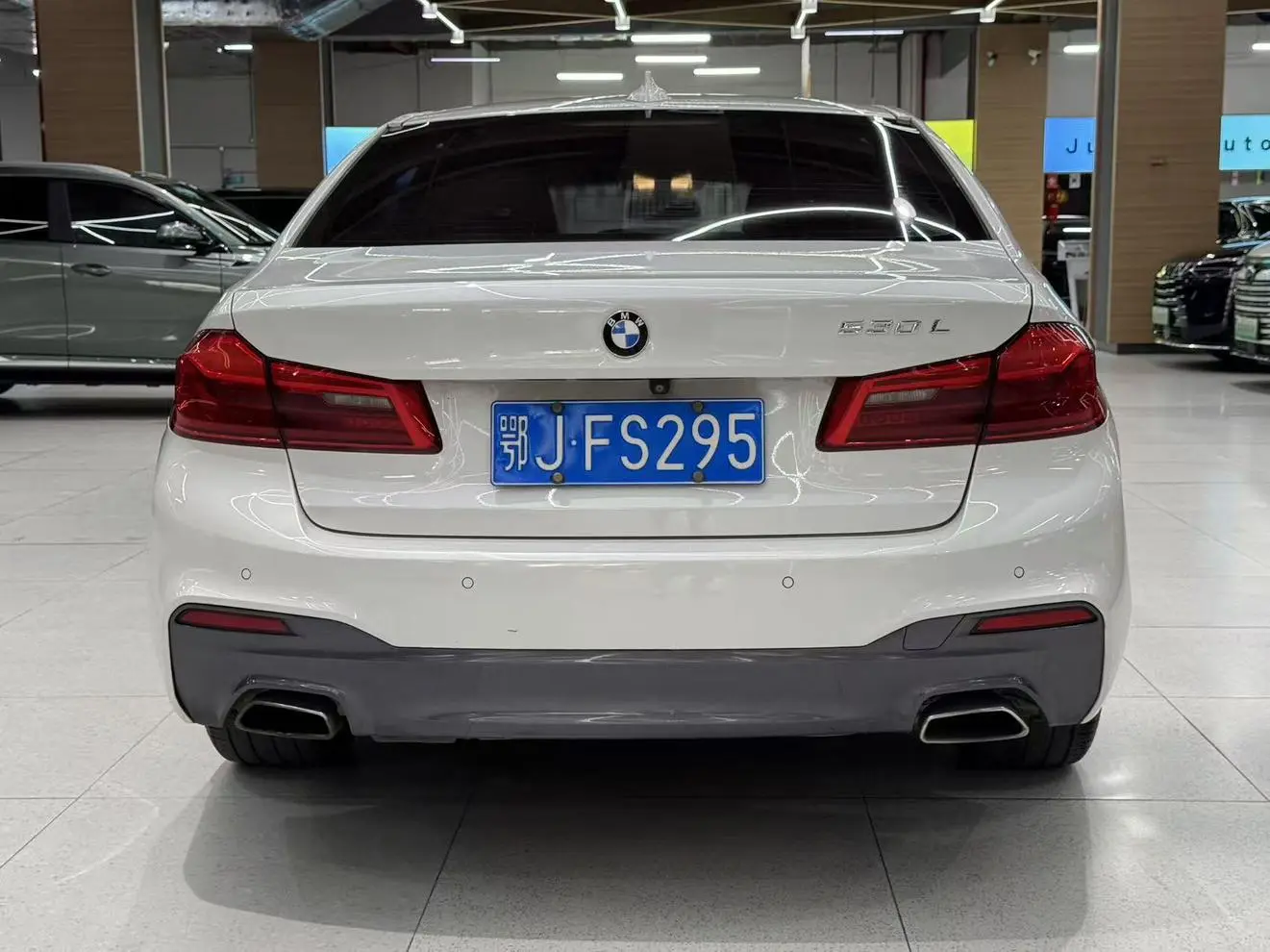 BMW 5 Series 2019 530Li Leading M Sport Package