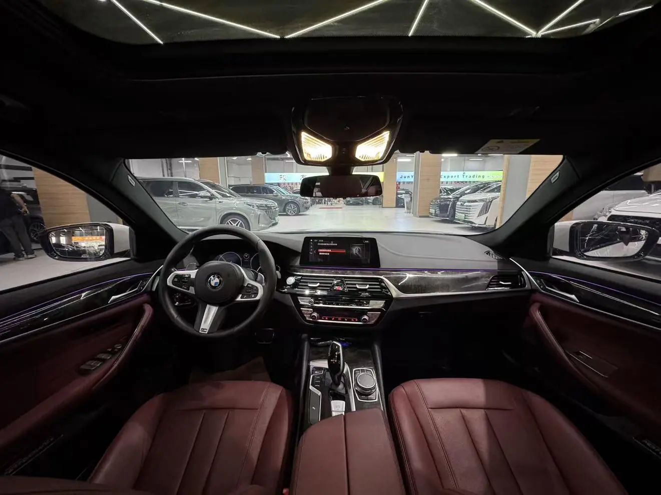 BMW 5 Series 2019 530Li Leading M Sport Package