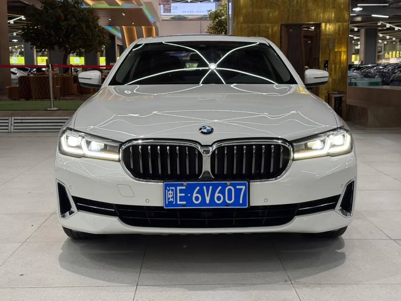 BMW 5 Series 2022 530Li Leading Luxury Package