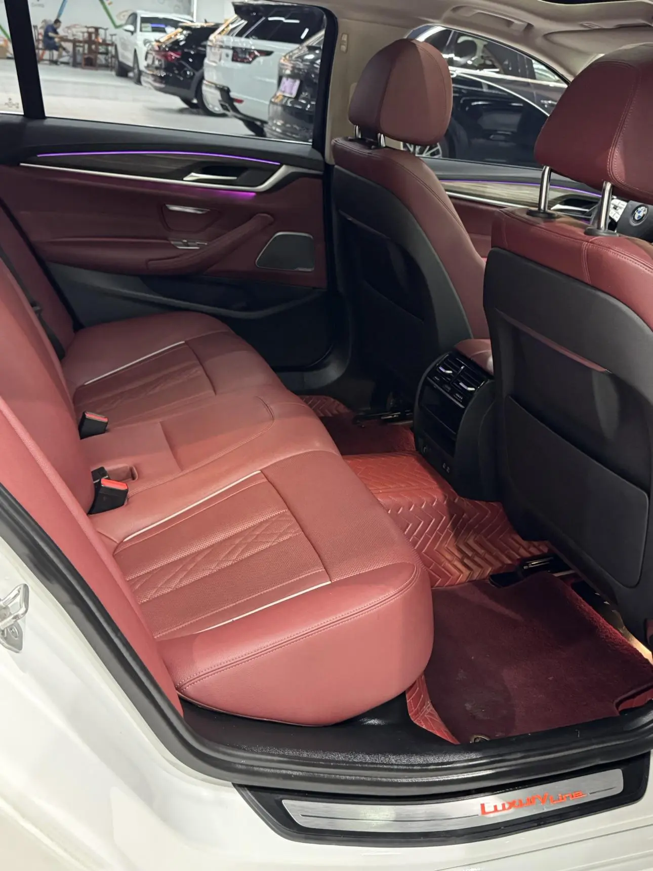 BMW 5 Series 2022 530Li Leading Luxury Package