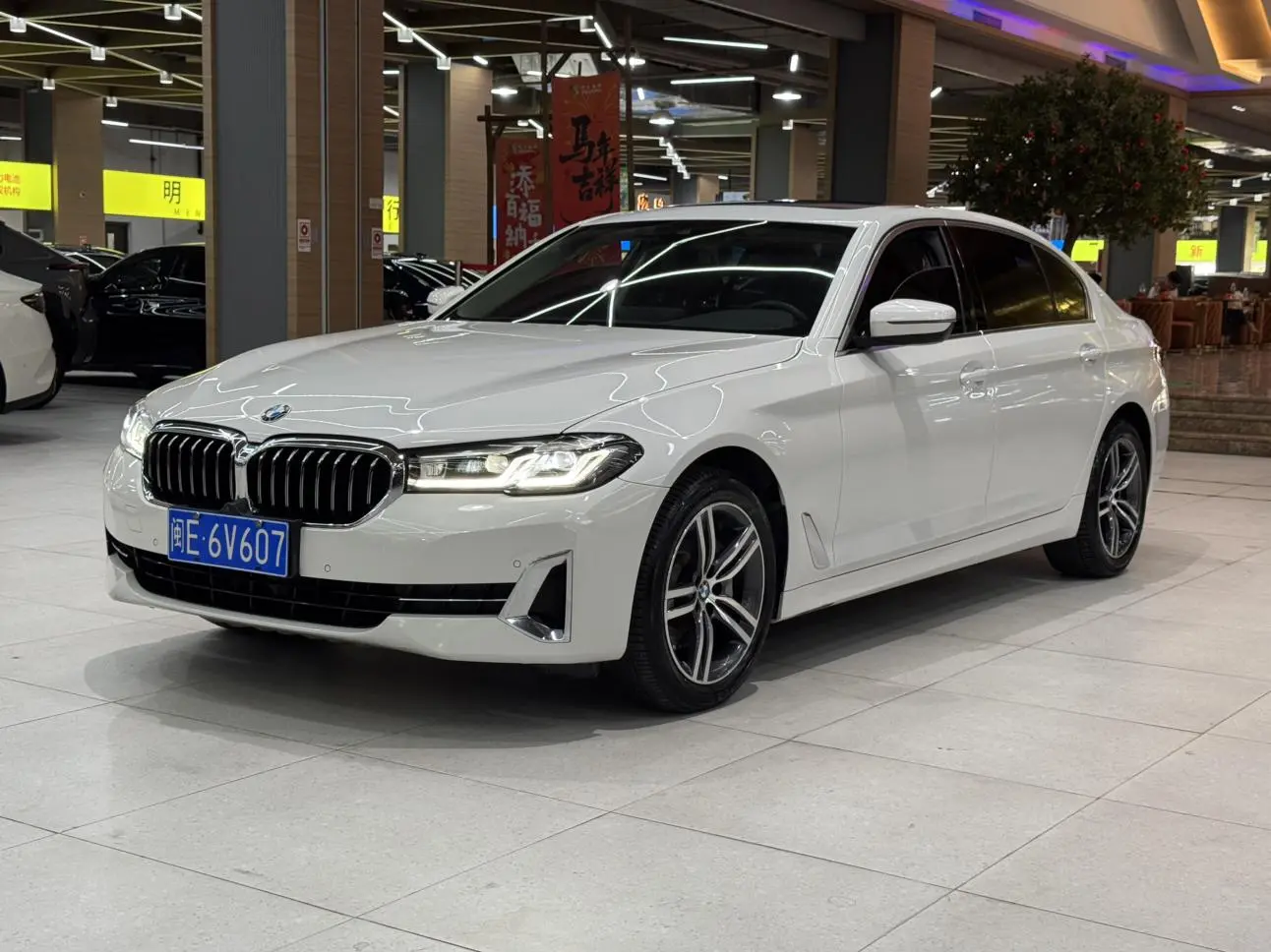 BMW 5 Series 2022 530Li Leading Luxury Package