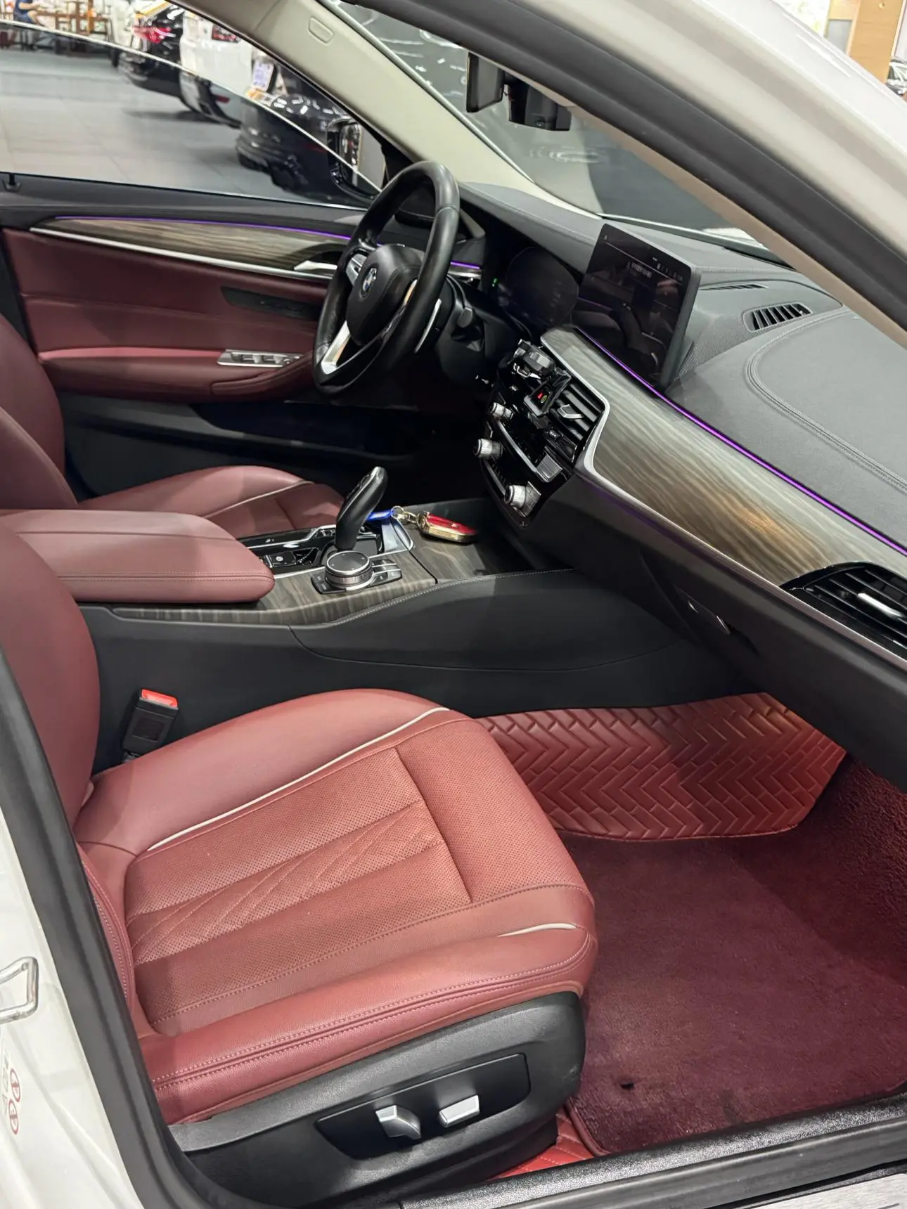 BMW 5 Series 2022 530Li Leading Luxury Package