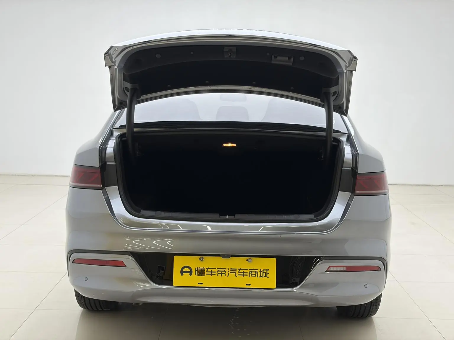 BYD Qin PLUS DM 2021 DM-i 55KM Flagship
