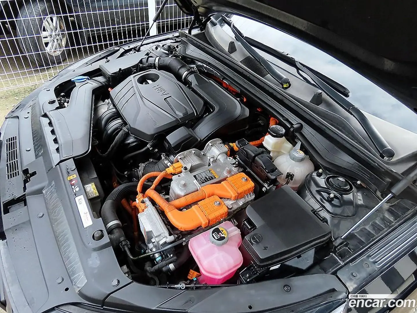 Kia K5 Prestige