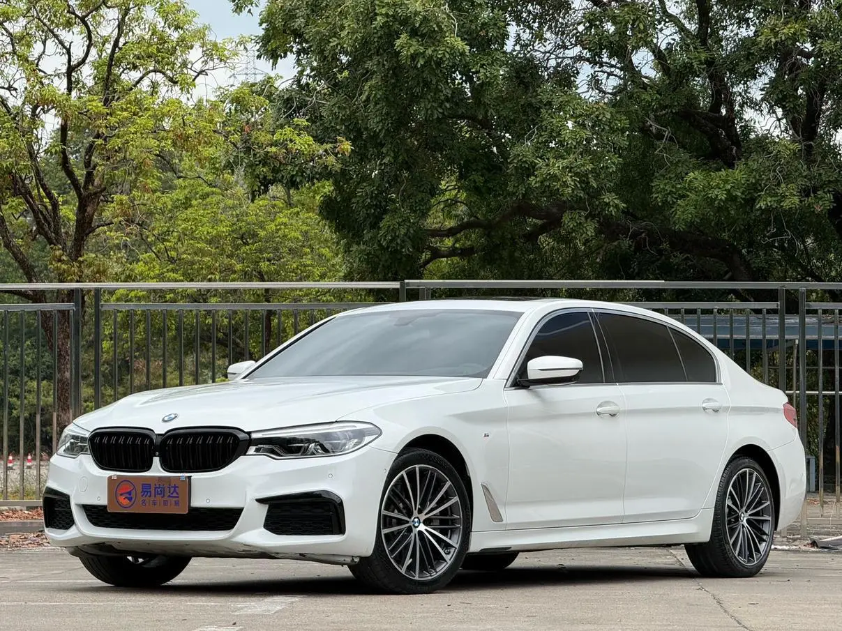 BMW 5 Series 2020 530Li Premium Plus M Sport Package
