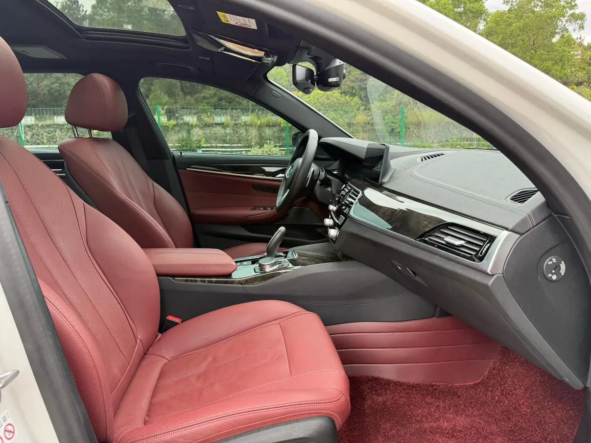 BMW 5 Series 2020 530Li Premium Plus M Sport Package