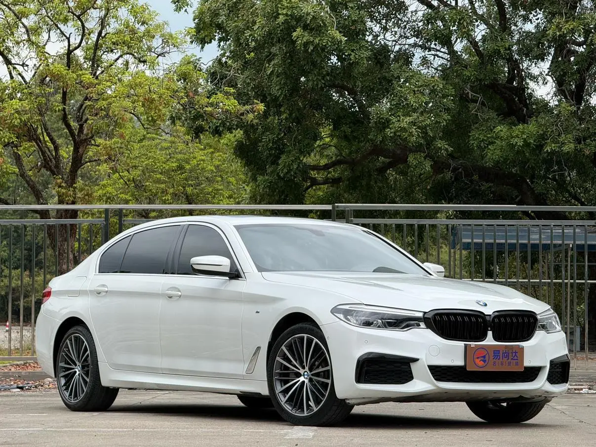 BMW 5 Series 2020 530Li Premium Plus M Sport Package