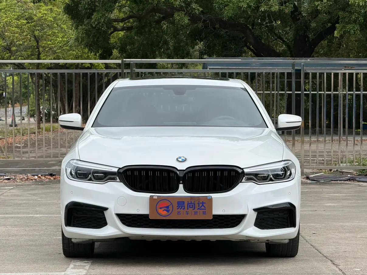 BMW 5 Series 2020 530Li Premium Plus M Sport Package