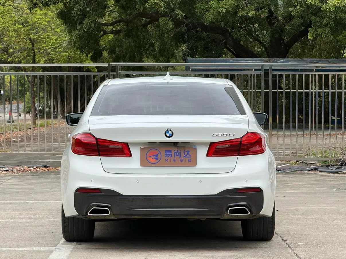BMW 5 Series 2020 530Li Premium Plus M Sport Package