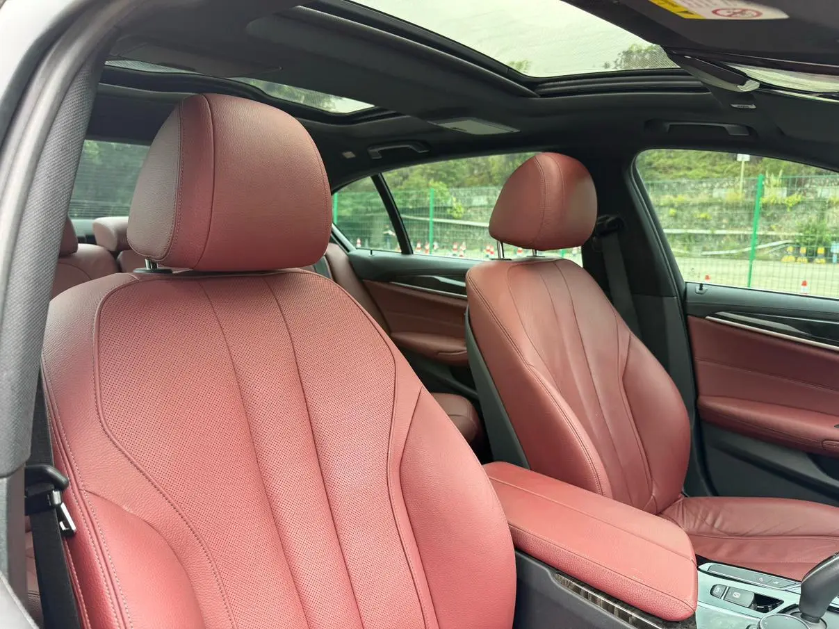 BMW 5 Series 2020 530Li Premium Plus M Sport Package
