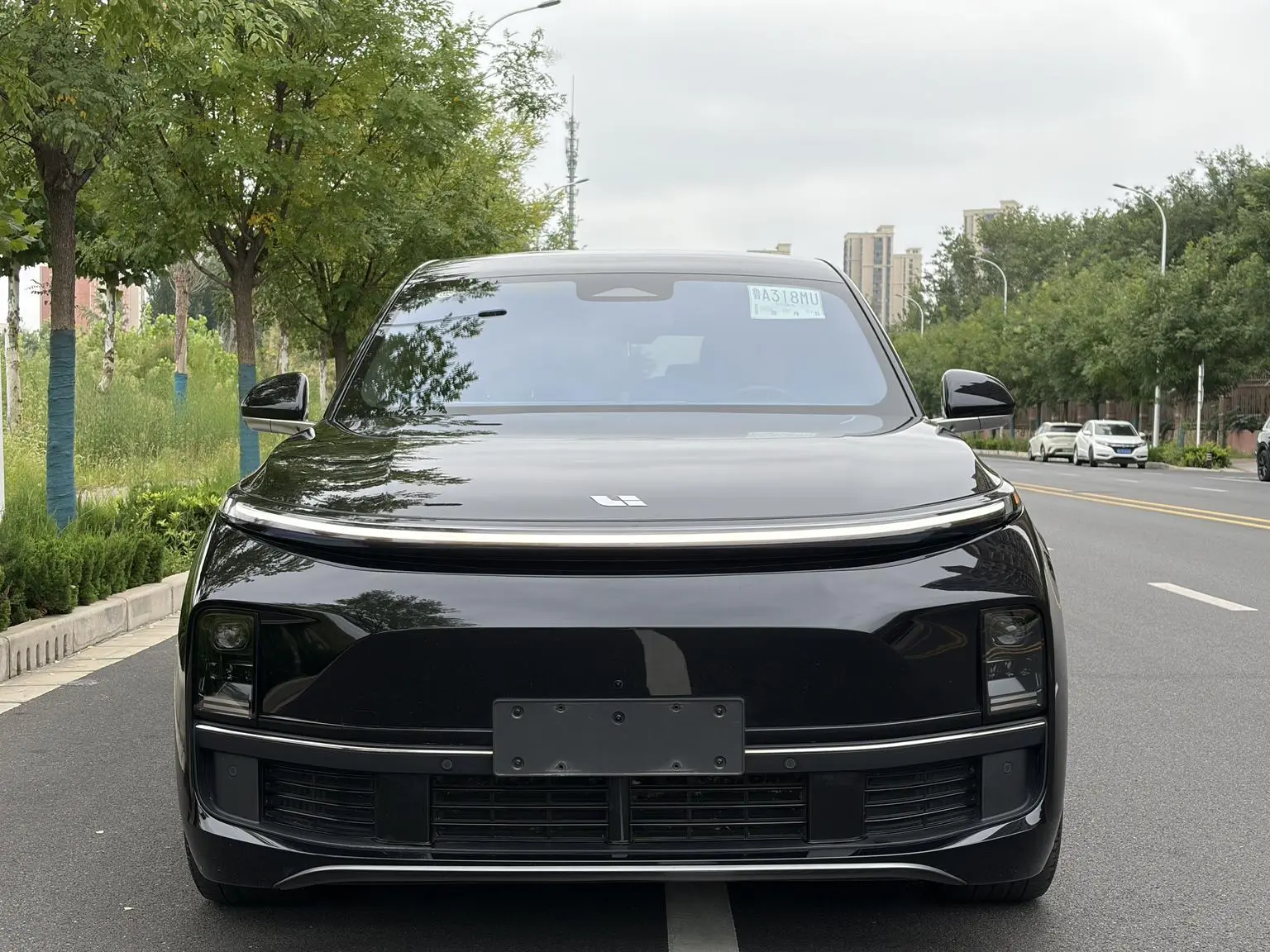 Li Auto L8 2024 Pro