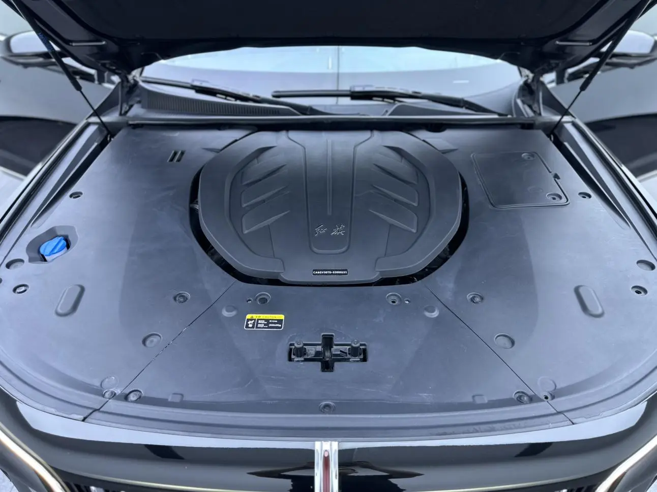 Hongqi H9 2020 3.0T Smart Connected Qichang