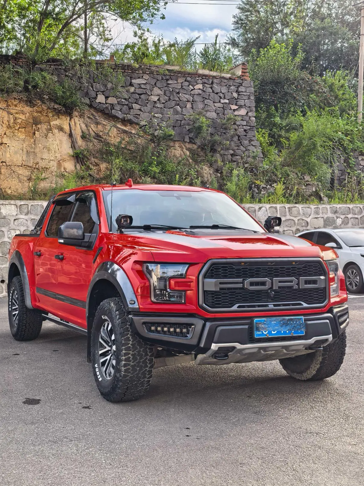 Ford F-150 Raptor 2019 3.5T Performance