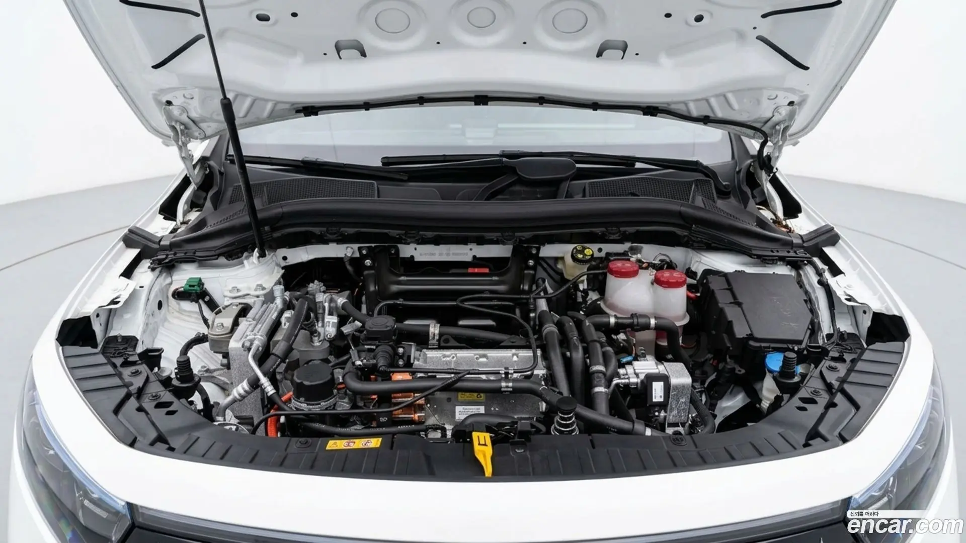 Mercedes-Benz EQA EQA250 AMG Line 2024