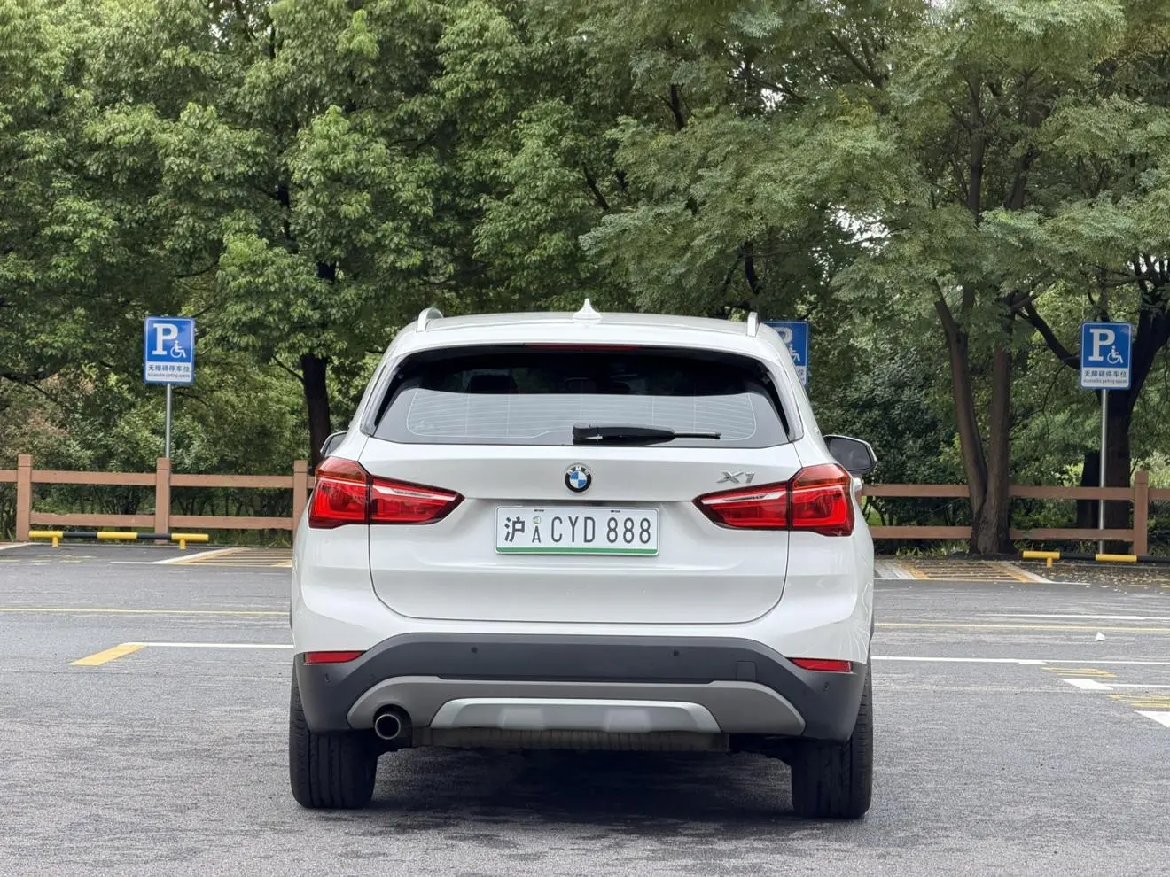 BMW X1 PHEV 2018 xDrive25Le Luxury