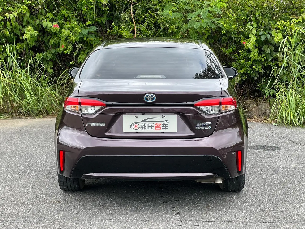 Toyota Levin 2019 Hybrid 1.8H Luxury China VI