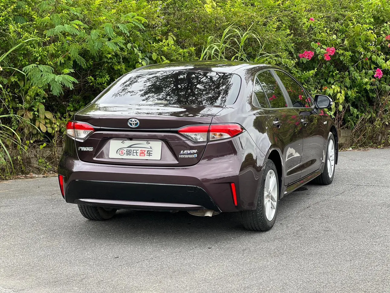 Toyota Levin 2019 Hybrid 1.8H Luxury China VI
