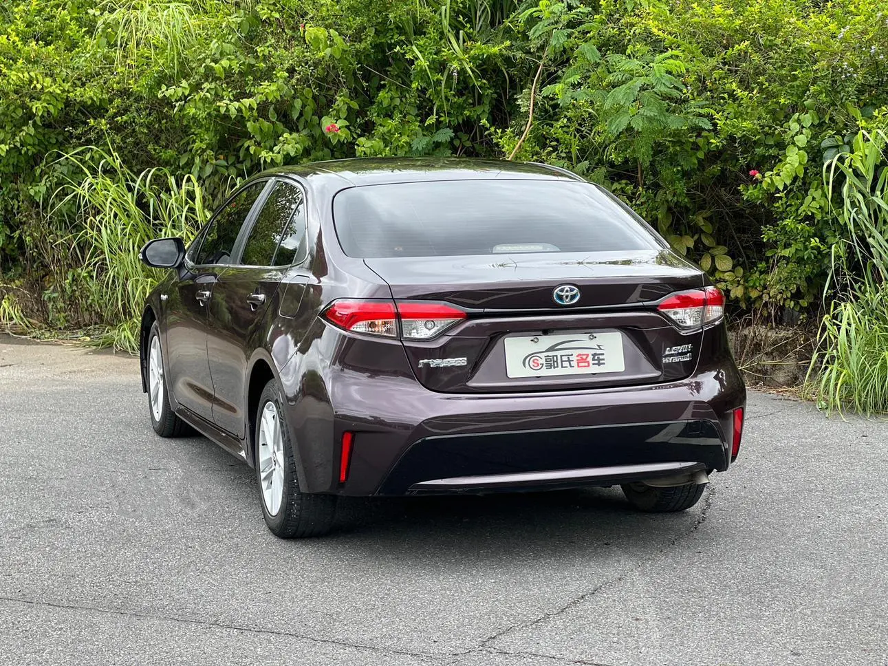 Toyota Levin 2019 Hybrid 1.8H Luxury China VI