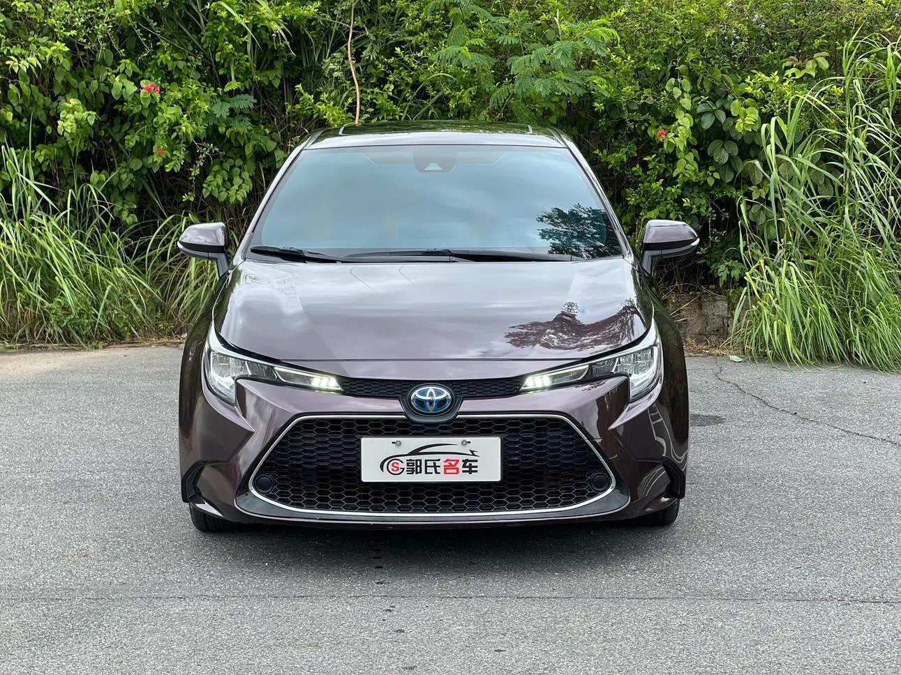 Toyota Levin 2019 Hybrid 1.8H Luxury China VI