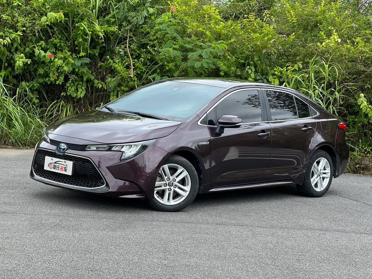Toyota Levin 2019 Hybrid 1.8H Luxury China VI
